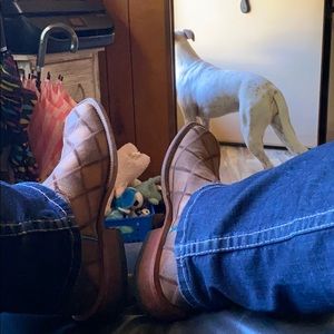 Meet your Posher, Dalton